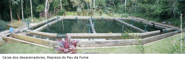 pau da_fome