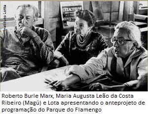 Lota burlemarx